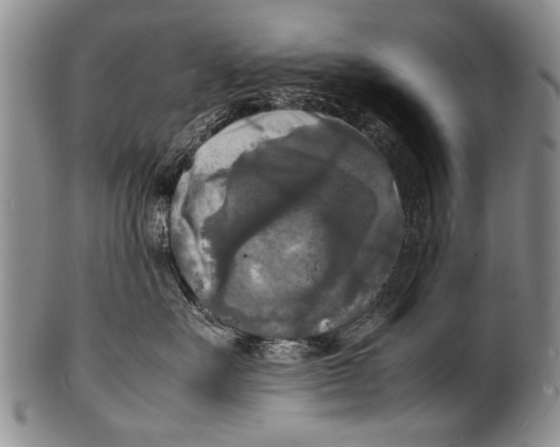 X0000100310527200806261205