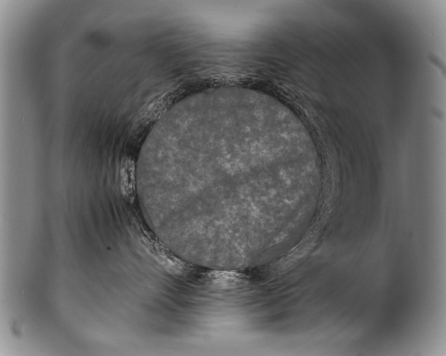 X0000100310528200806261205