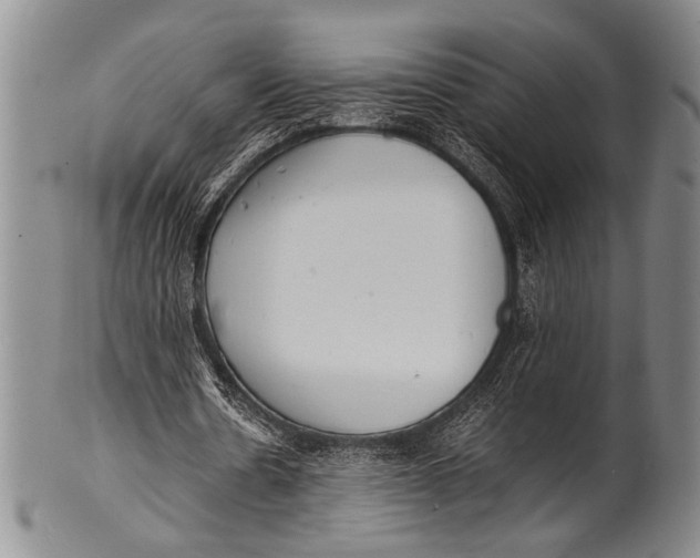 X0000100310530200806261204