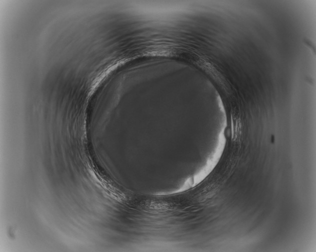 X0000100310531200806261204