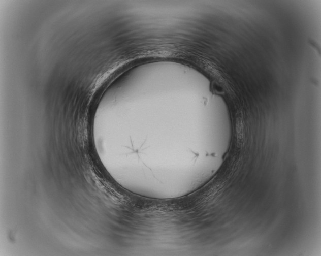 X0000100310532200806261204