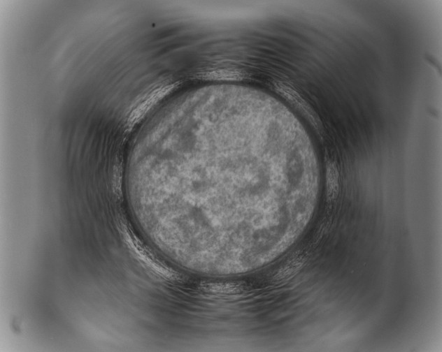 X0000100310533200806261204