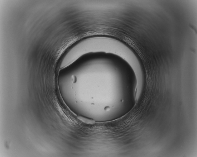 X0000100310534200806261204