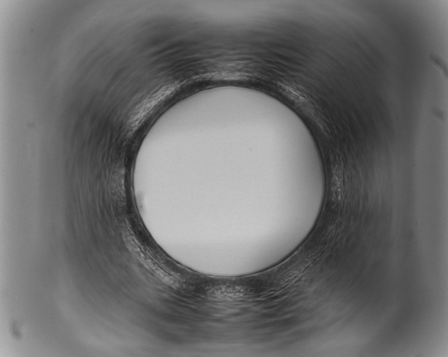 X0000100310535200806261204