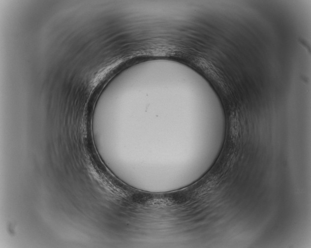 X0000100310536200806261204