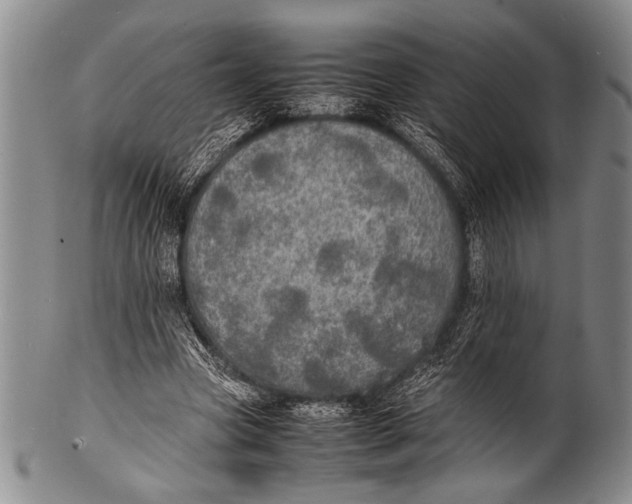 X0000100310537200806261204