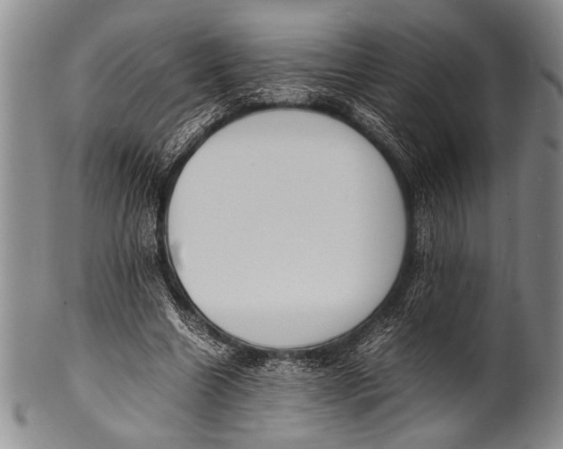 X0000100310538200806261204