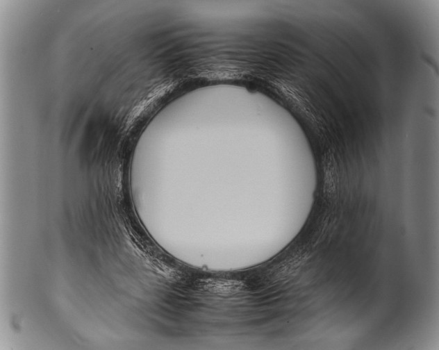 X0000100310539200806261204