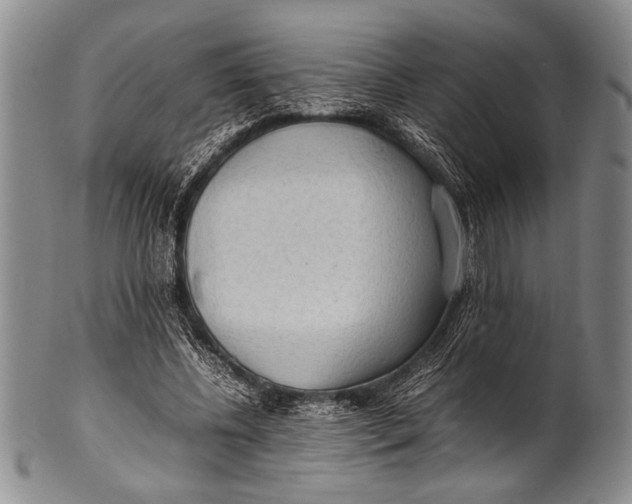 X0000100310540200806261204