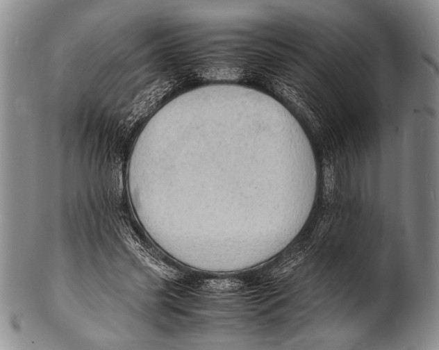 X0000100310541200806261204