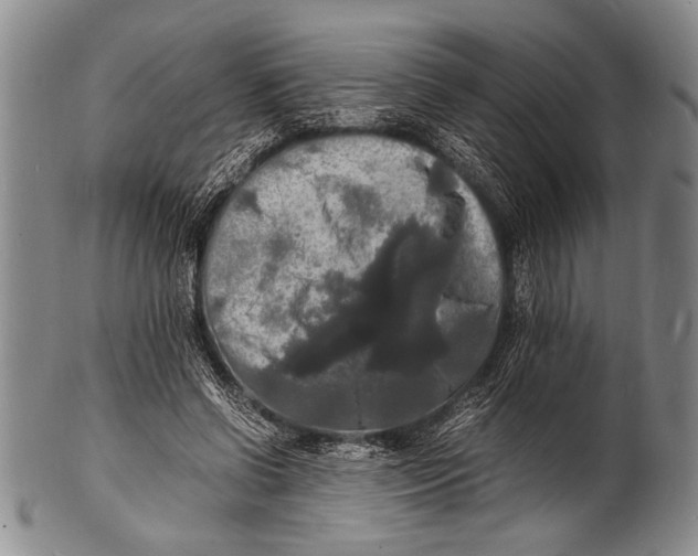 X0000100310542200806261204