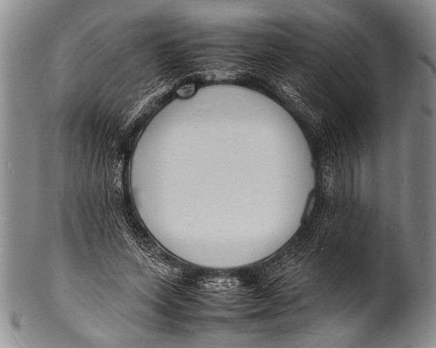 X0000100310543200806261204