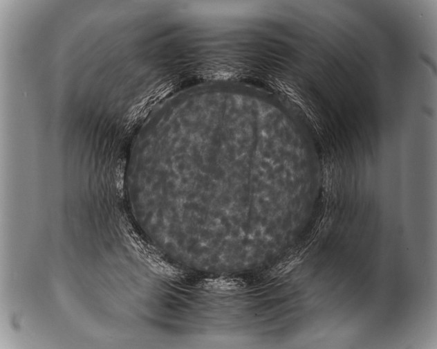 X0000100310545200806261205