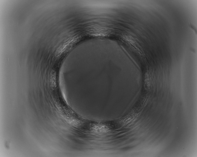 X0000100310547200806261205