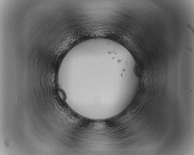 X0000100310548200806261205