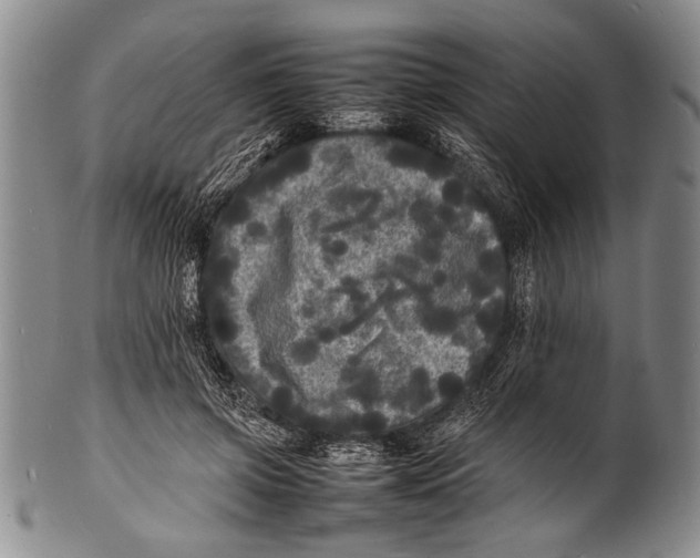 X0000100310549200806261205