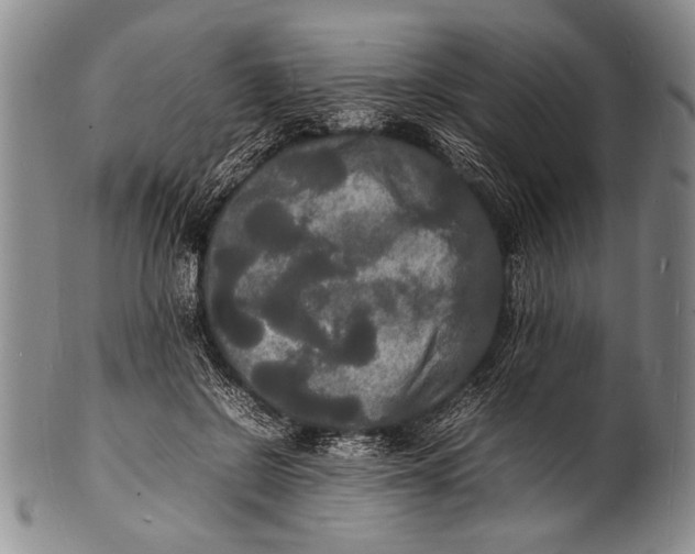 X0000100310550200806261205