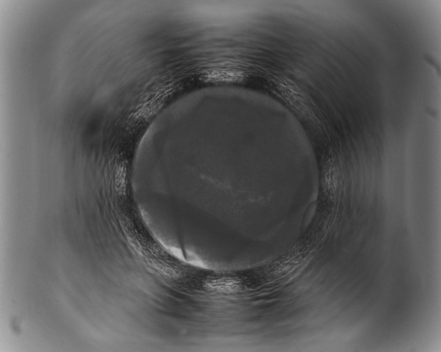 X0000100310551200806261205