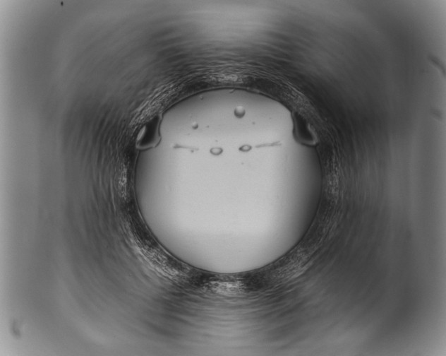 X0000100310552200806261205