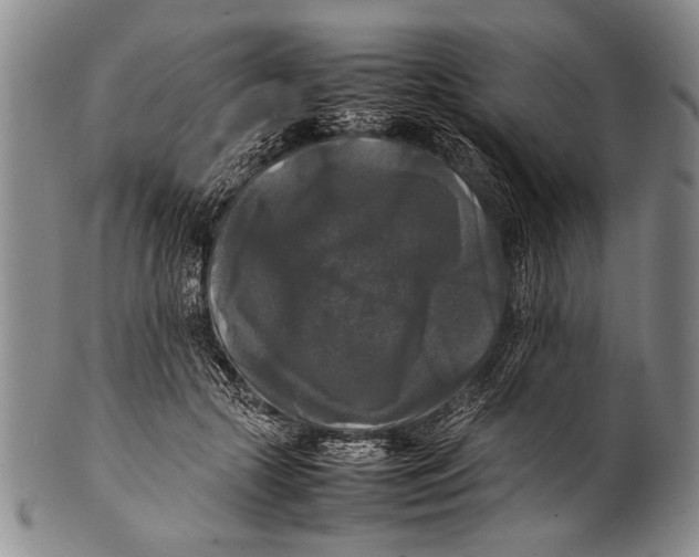 X0000100310553200806261205