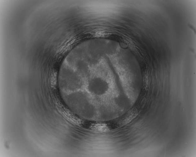 X0000100310554200806261205