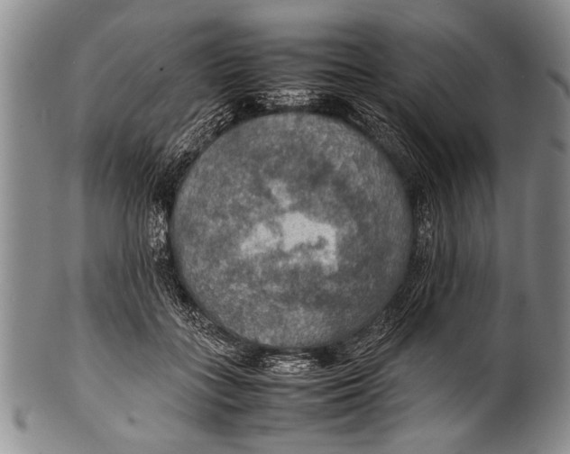 X0000100310555200806261205