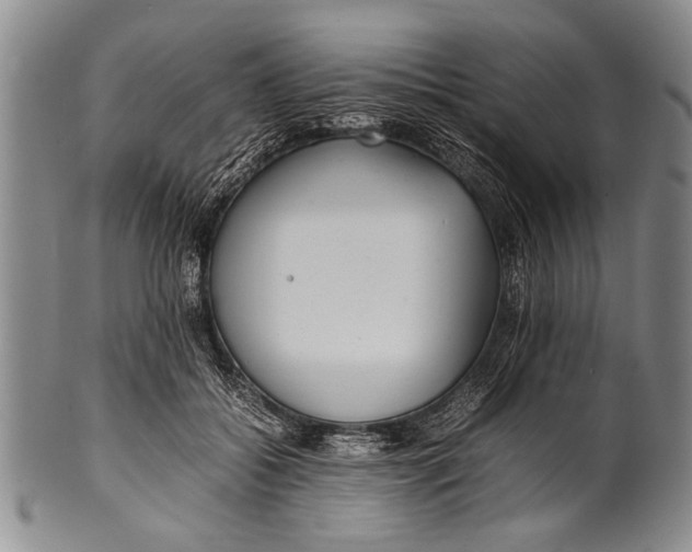 X0000100310556200806261205