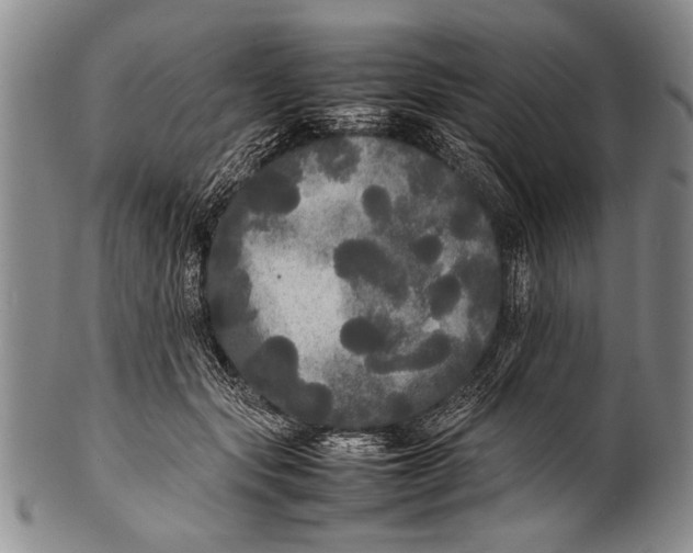 X0000100310557200806261205