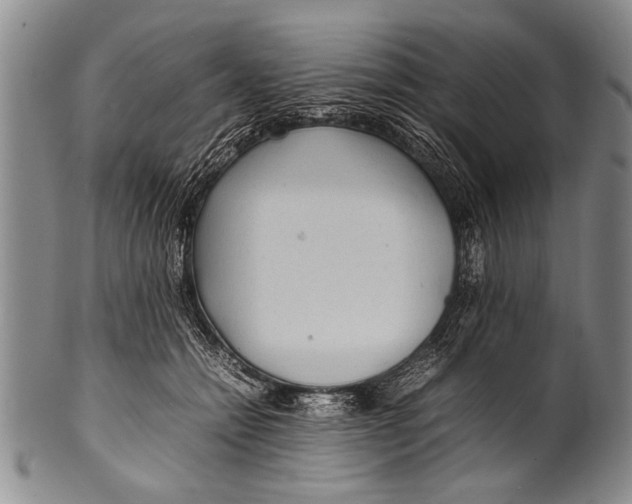 X0000100310558200806261205