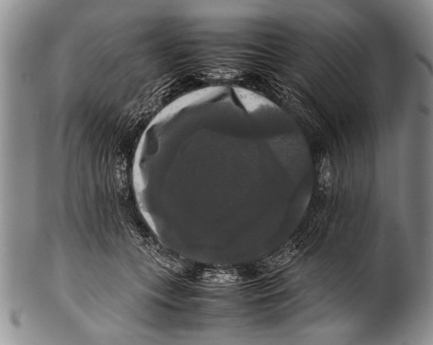 X0000100310559200806261205