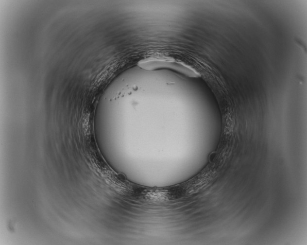 X0000100310560200806261205