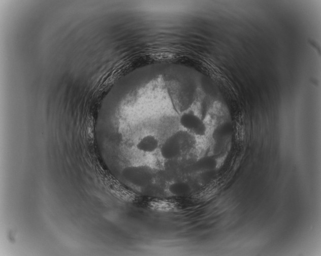 X0000100310561200806261205