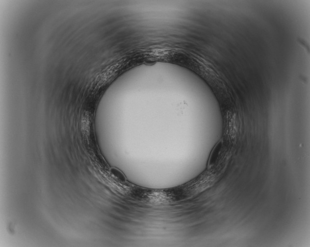 X0000100310562200806261205