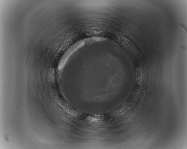 X0000100310563200806261205