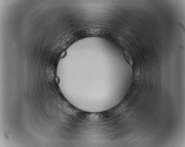 X0000100310566200806261205