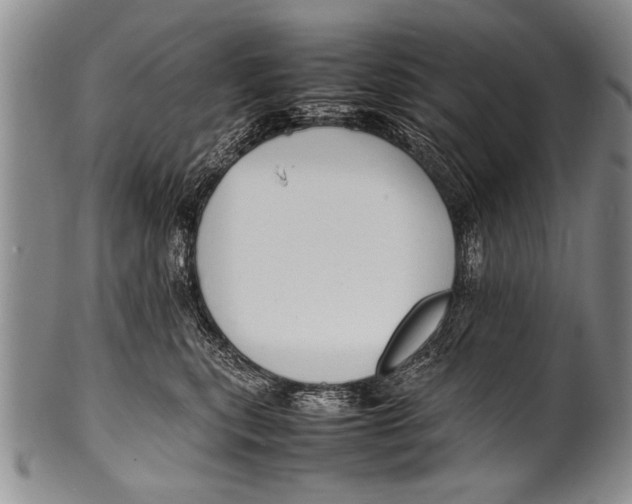 X0000100310567200806261205