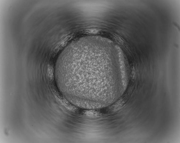 X0000100310568200806261205