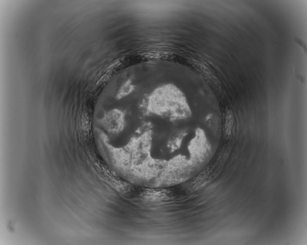 X0000100310569200806261205