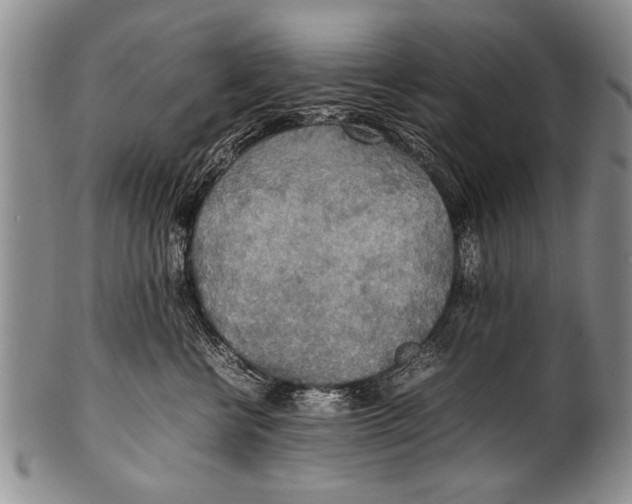 X0000100310570200806261205