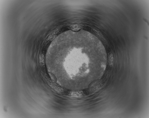 X0000100310571200806261205