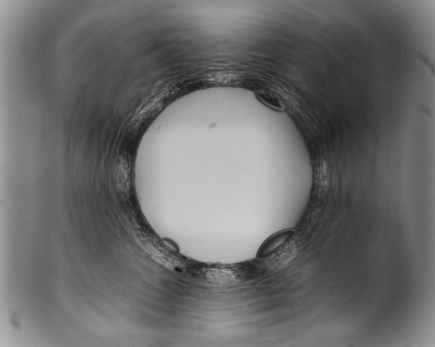 X0000100310572200806261205