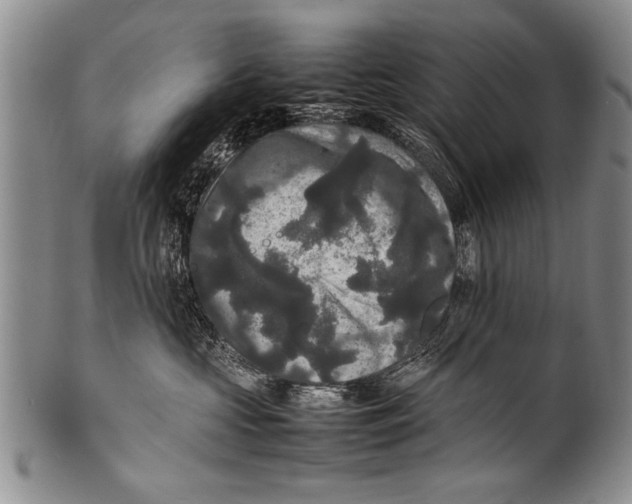 X0000100310573200806261205