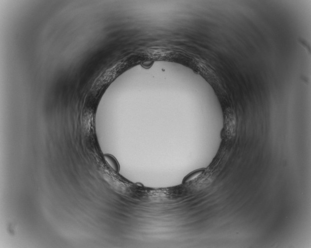 X0000100310574200806261205