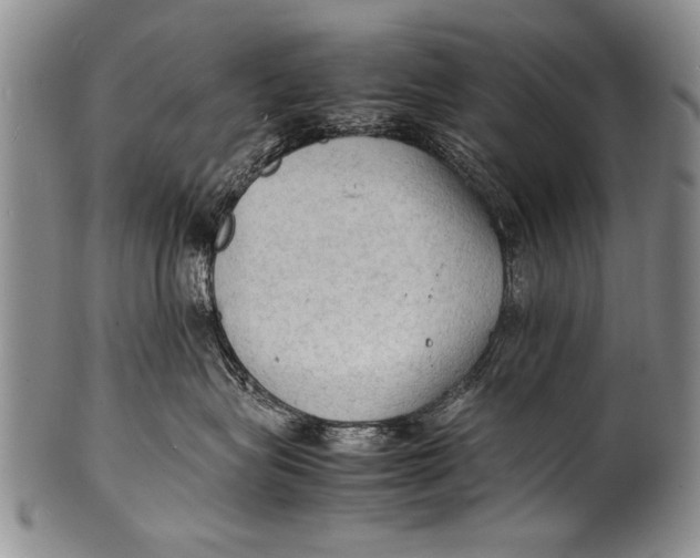 X0000100310575200806261205