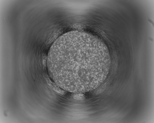 X0000100310576200806261205