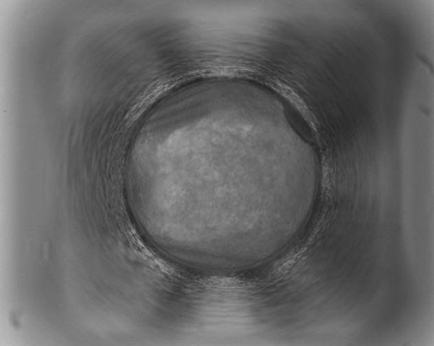 X0000100310577200806261204