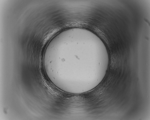 X0000100310578200806261204