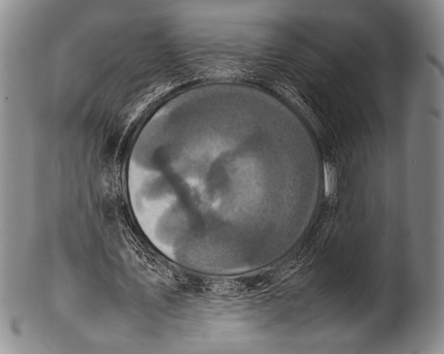 X0000100310579200806261204