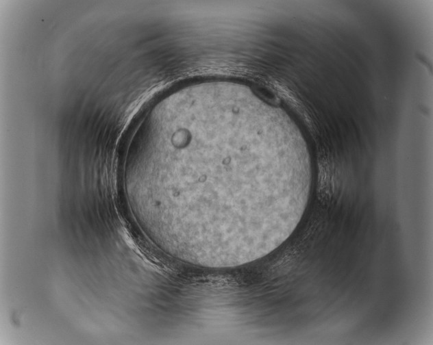 X0000100310580200806261204