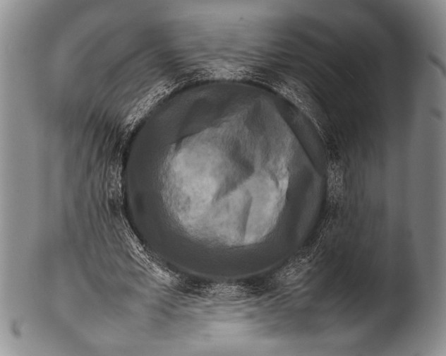 X0000100310581200806261204